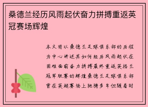 桑德兰经历风雨起伏奋力拼搏重返英冠赛场辉煌 桑德兰经历风雨起伏奋力拼搏重返英冠赛场辉煌